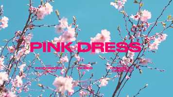 Free download Pink Dress video and edit with RedcoolMedia movie maker MovieStudio video editor online and AudioStudio audio editor onlin