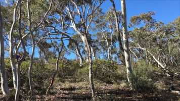 Free download Pipi Out of Water (excerpt) video and edit with RedcoolMedia movie maker MovieStudio video editor online and AudioStudio audio editor onlin