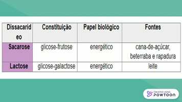 Free download pitch carboidratos 4 video and edit with RedcoolMedia movie maker MovieStudio video editor online and AudioStudio audio editor onlin