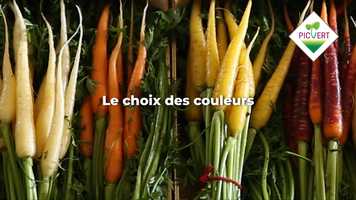 Free download Pivert mini légumes video and edit with RedcoolMedia movie maker MovieStudio video editor online and AudioStudio audio editor onlin