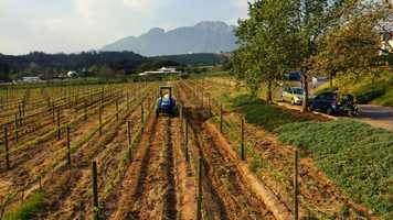 Free download PLANET EAT - PROMO I - OFFICIAL - MUSIC OPTION 1 - 281019_2 video and edit with RedcoolMedia movie maker MovieStudio video editor online and AudioStudio audio editor onlin