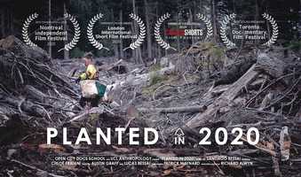 Free download Planted in 2020 - Trailer video and edit with RedcoolMedia movie maker MovieStudio video editor online and AudioStudio audio editor onlin