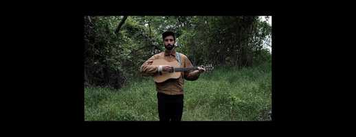 Free download plant pupil video and edit with RedcoolMedia movie maker MovieStudio video editor online and AudioStudio audio editor onlin