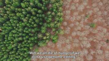 Free download PLANTS NEED SPECIAL HELP TO SURVIVE CLIMATE CHANGE video and edit with RedcoolMedia movie maker MovieStudio video editor online and AudioStudio audio editor onlin