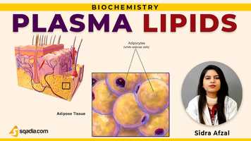 Free download Plasma Lipids | Metabolism | Fundamentals of Biochemistry | Medical Education | V-Learning video and edit with RedcoolMedia movie maker MovieStudio video editor online and AudioStudio audio editor onlin