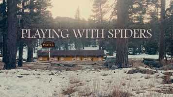 Free download PLAYING WITH SPIDERS - Trailer video and edit with RedcoolMedia movie maker MovieStudio video editor online and AudioStudio audio editor onlin