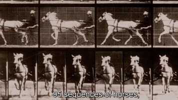 Free download PLQV7632 morsure video and edit with RedcoolMedia movie maker MovieStudio video editor online and AudioStudio audio editor onlin