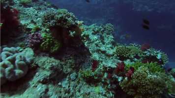 Free download POA_science video and edit with RedcoolMedia movie maker MovieStudio video editor online and AudioStudio audio editor onlin