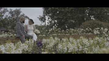 Free download Pocket Cinema 4k Wedding Gardenwalk video and edit with RedcoolMedia movie maker MovieStudio video editor online and AudioStudio audio editor onlin