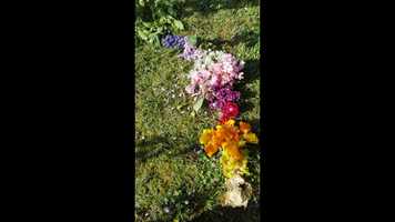 Free download Podcast Chloé V1 video and edit with RedcoolMedia movie maker MovieStudio video editor online and AudioStudio audio editor onlin