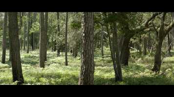 Free download Poggio and The Perfect Puff Teaser 1 video and edit with RedcoolMedia movie maker MovieStudio video editor online and AudioStudio audio editor onlin