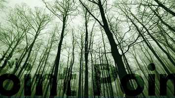 Free download Point Point - Au Revoir video and edit with RedcoolMedia movie maker MovieStudio video editor online and AudioStudio audio editor onlin