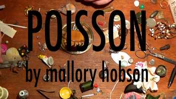 Free download Poisson video and edit with RedcoolMedia movie maker MovieStudio video editor online and AudioStudio audio editor onlin