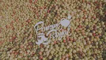 Free download Pomme Royal (trip) video and edit with RedcoolMedia movie maker MovieStudio video editor online and AudioStudio audio editor onlin