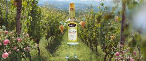 Free download Ponti - Aceto Dolceagro video and edit with RedcoolMedia movie maker MovieStudio video editor online and AudioStudio audio editor onlin