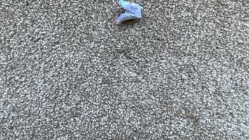 Free download Positivity Short Film Emy Jo video and edit with RedcoolMedia movie maker MovieStudio video editor online and AudioStudio audio editor onlin