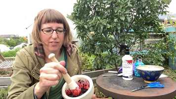 Free download Postcards From The Plot - Hannah Ayre - a postcard from Leith video and edit with RedcoolMedia movie maker MovieStudio video editor online and AudioStudio audio editor onlin