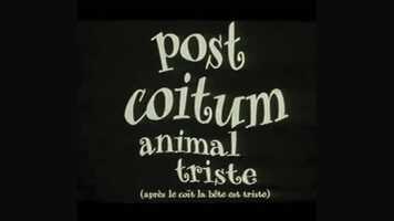 Free download Post Coïtum, Animal Triste en français HD (FRENCH) Streaming.mp4 video and edit with RedcoolMedia movie maker MovieStudio video editor online and AudioStudio audio editor onlin