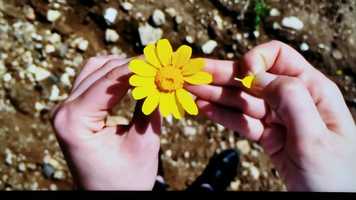 Free download Post-Materialist-Science video and edit with RedcoolMedia movie maker MovieStudio video editor online and AudioStudio audio editor onlin