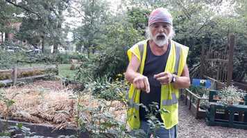 Free download potato song video and edit with RedcoolMedia movie maker MovieStudio video editor online and AudioStudio audio editor onlin