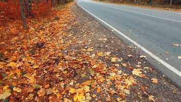 Free download POV Autumn Road Stock Video video and edit with RedcoolMedia movie maker MovieStudio video editor online and AudioStudio audio editor onlin
