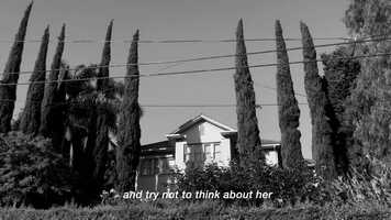 Free download POV_FILM_MIMI.mov video and edit with RedcoolMedia movie maker MovieStudio video editor online and AudioStudio audio editor onlin