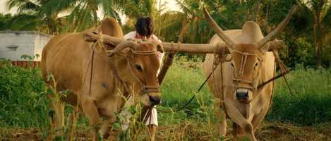 Free download Powerstar Official Trailer   RGV   RGVs #Powerstar   Latest 2020 Movie Trailers   Ram Gopal Varma video and edit with RedcoolMedia movie maker MovieStudio video editor online and AudioStudio audio editor onlin