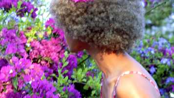 Free download Prato de Flores - Dengo video and edit with RedcoolMedia movie maker MovieStudio video editor online and AudioStudio audio editor onlin