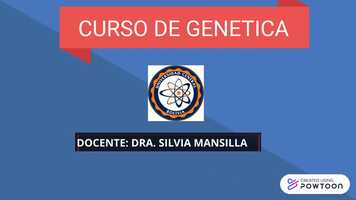 Free download PRESENTACION EN POWTOON-SILVIA MANSILLA video and edit with RedcoolMedia movie maker MovieStudio video editor online and AudioStudio audio editor onlin