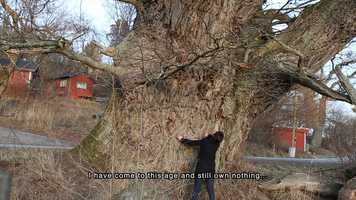 Free download Preview: Elmas Deniz The Tree I Want to Buy video and edit with RedcoolMedia movie maker MovieStudio video editor online and AudioStudio audio editor onlin