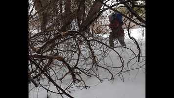 Free download Prey Trailer video and edit with RedcoolMedia movie maker MovieStudio video editor online and AudioStudio audio editor onlin