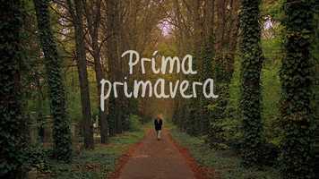 Free download Prima Primavera (trailer) video and edit with RedcoolMedia movie maker MovieStudio video editor online and AudioStudio audio editor onlin