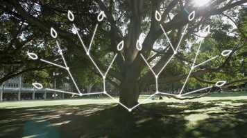 Free download PRIME MINISTERS PRIZES FOR SCIENCE - (E.PROF CHERYL PRAEGER) video and edit with RedcoolMedia movie maker MovieStudio video editor online and AudioStudio audio editor onlin