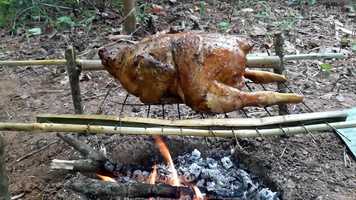 Free download Primitive technology cooking hen video and edit with RedcoolMedia movie maker MovieStudio video editor online and AudioStudio audio editor onlin