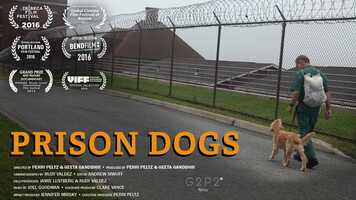 Free download Prison Dogs - Trailer video and edit with RedcoolMedia movie maker MovieStudio video editor online and AudioStudio audio editor onlin