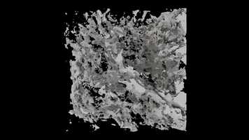 Free download Process Animation  Noise Fields III video and edit with RedcoolMedia movie maker MovieStudio video editor online and AudioStudio audio editor onlin