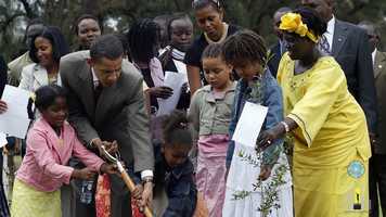 Free download Professor Wangari Maathai video and edit with RedcoolMedia movie maker MovieStudio video editor online and AudioStudio audio editor onlin