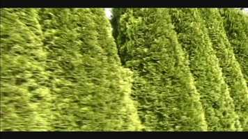 Free download Project Zions Of Life Campaign video and edit with RedcoolMedia movie maker MovieStudio video editor online and AudioStudio audio editor onlin