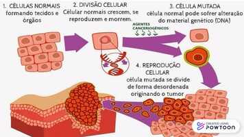Free download Projeto ncleo 6 - CA de estmago video and edit with RedcoolMedia movie maker MovieStudio video editor online and AudioStudio audio editor onlin