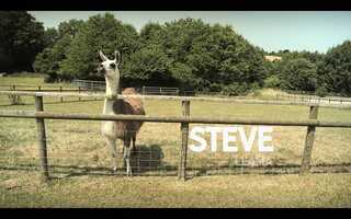 Free download PromaxBDA UK Silver  Steve The Llama  The Walt Disney Company video and edit with RedcoolMedia movie maker MovieStudio video editor online and AudioStudio audio editor onlin
