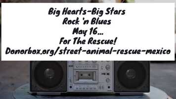 Free download Promo Video 1 Big Hearts-Big Stars May 16 Show-1080p video and edit with RedcoolMedia movie maker MovieStudio video editor online and AudioStudio audio editor onlin