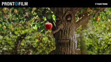 Free download Pronto Film - Showreel 30 sec video and edit with RedcoolMedia movie maker MovieStudio video editor online and AudioStudio audio editor onlin