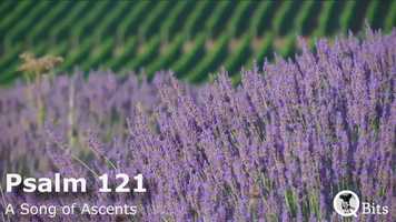 Free download Psalm 121: A Song of Ascents - Buttercup video and edit with RedcoolMedia movie maker MovieStudio video editor online and AudioStudio audio editor onlin