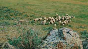 Free download Psalm 23 Trailer-HD 720p video and edit with RedcoolMedia movie maker MovieStudio video editor online and AudioStudio audio editor onlin