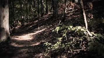 Free download Psicosis De Amor - Triler Teaser video and edit with RedcoolMedia movie maker MovieStudio video editor online and AudioStudio audio editor onlin