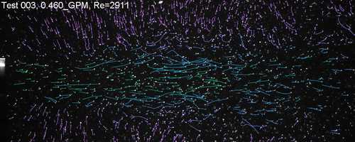 Free download PTV Movie Re=2911 Playback speed = 10X video and edit with RedcoolMedia movie maker MovieStudio video editor online and AudioStudio audio editor onlin