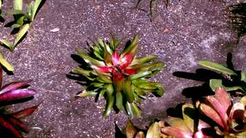 Free download PULLINPULLOUT _ DARK ENERGY _ SUMTHIN SUMTHIN video and edit with RedcoolMedia movie maker MovieStudio video editor online and AudioStudio audio editor onlin