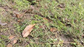 Free download PUMA INDIA l SUEDE GULLY l Dance Cover ft. Ishan Gupta video and edit with RedcoolMedia movie maker MovieStudio video editor online and AudioStudio audio editor onlin