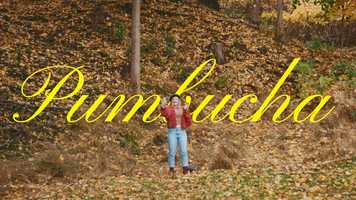 Free download Pumbucha video and edit with RedcoolMedia movie maker MovieStudio video editor online and AudioStudio audio editor onlin