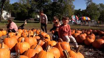 Free download Pumpkin Fest at Cosley Zoo video and edit with RedcoolMedia movie maker MovieStudio video editor online and AudioStudio audio editor onlin